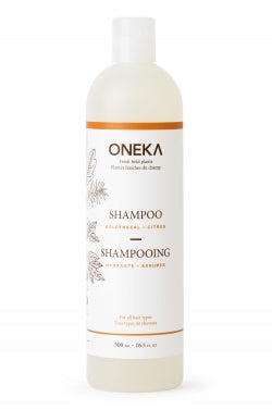 Shampoo