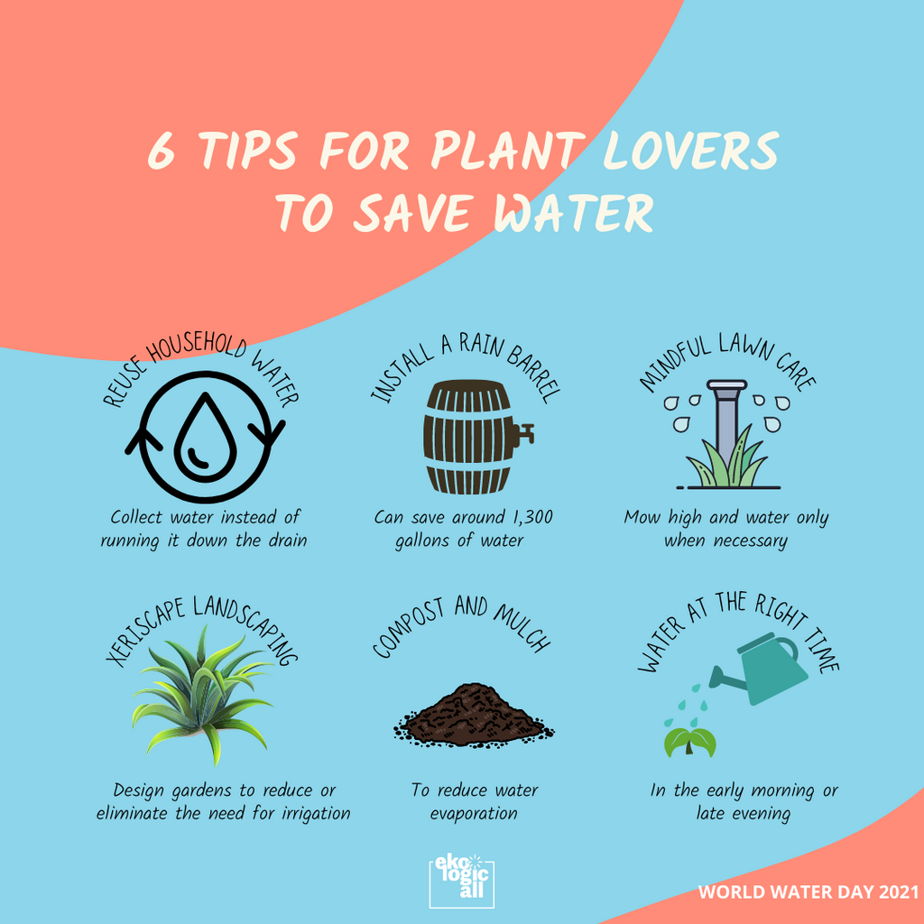 6 tips for plant lovers to save water