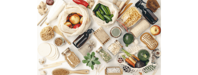 Living a Sustainable Lifestyle