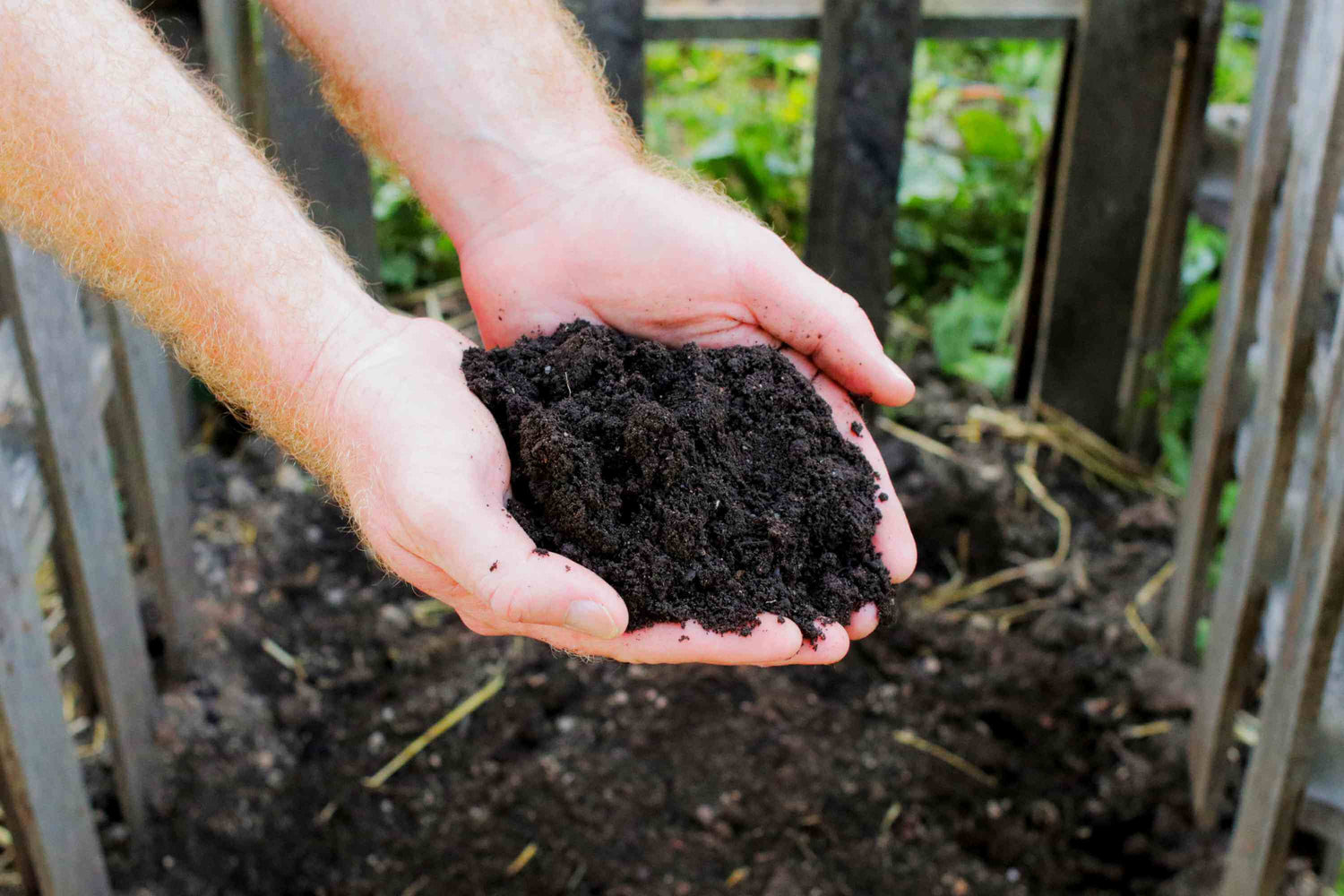Composting 101: Easy Tips for Creating Nutrient-Rich Soil and Reducing Your Carbon Footprint