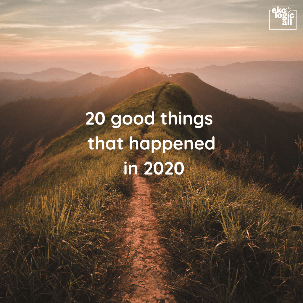 20 good things that happened in 2020