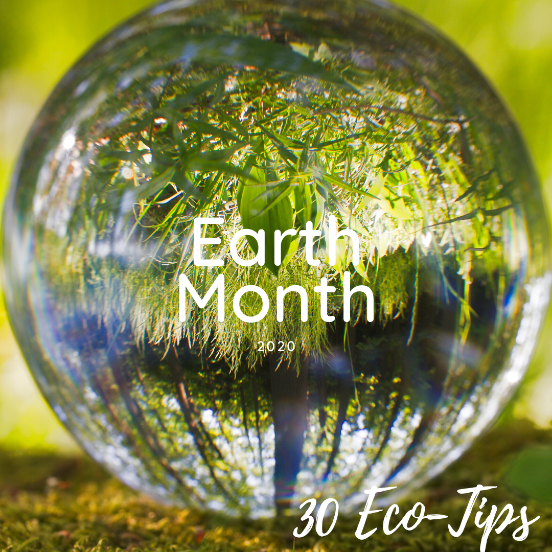 Earth Month Celebration - 30 Eco-Tips