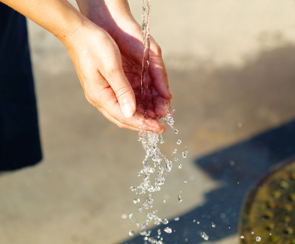 10 easy ways to save water