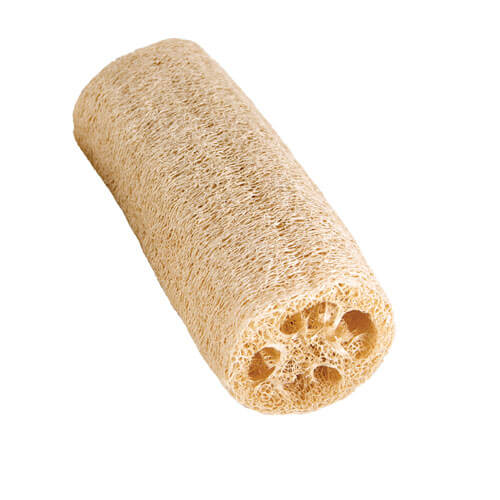 Loofah Sponge
