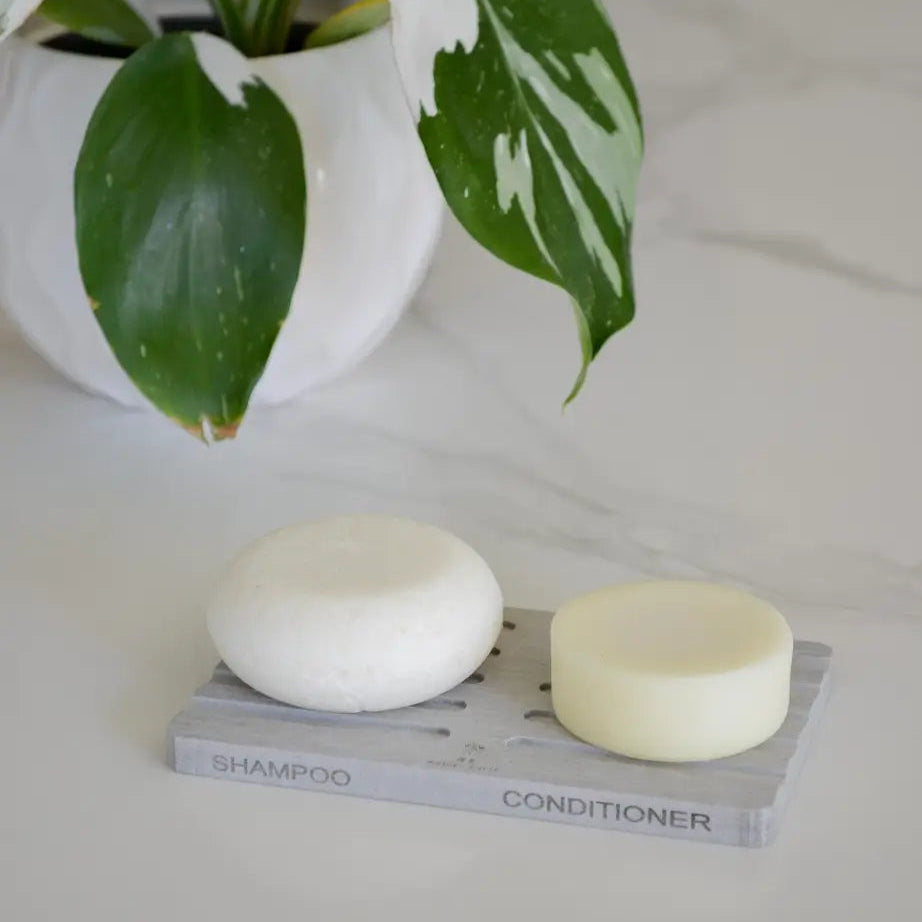 Two round bars of shampoo and conditioner resting on a gray diatomite soap dish, styled on a white marble surface with a potted plant in the background.