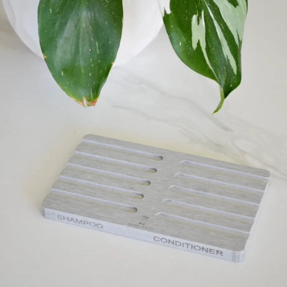 Potted plant with a diatomite soap dish labeled 'Shampoo Conditioner' on a light surface