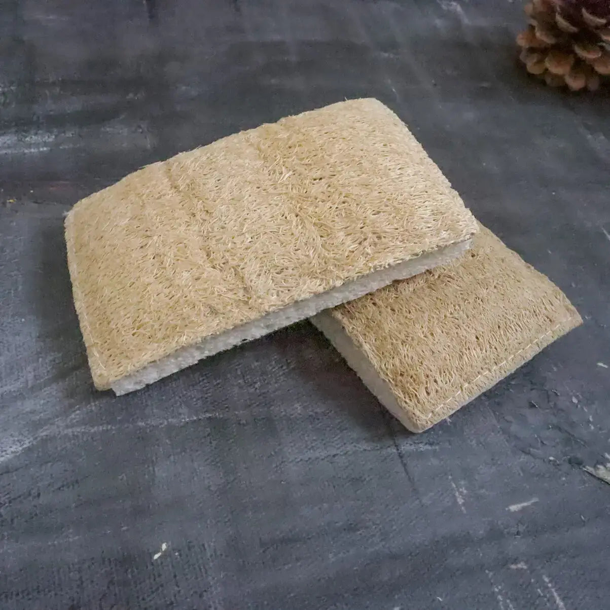 Eco-sponge