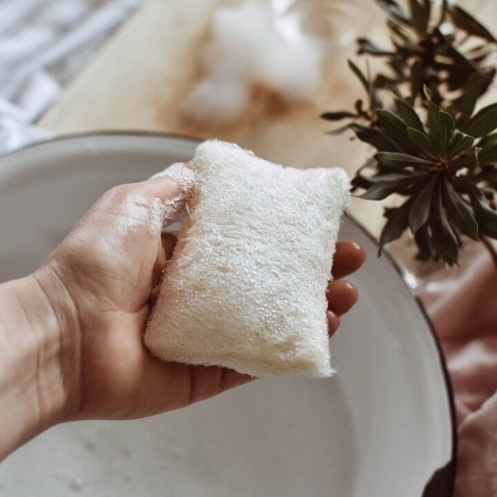 Loofah Kitchen Sponge
