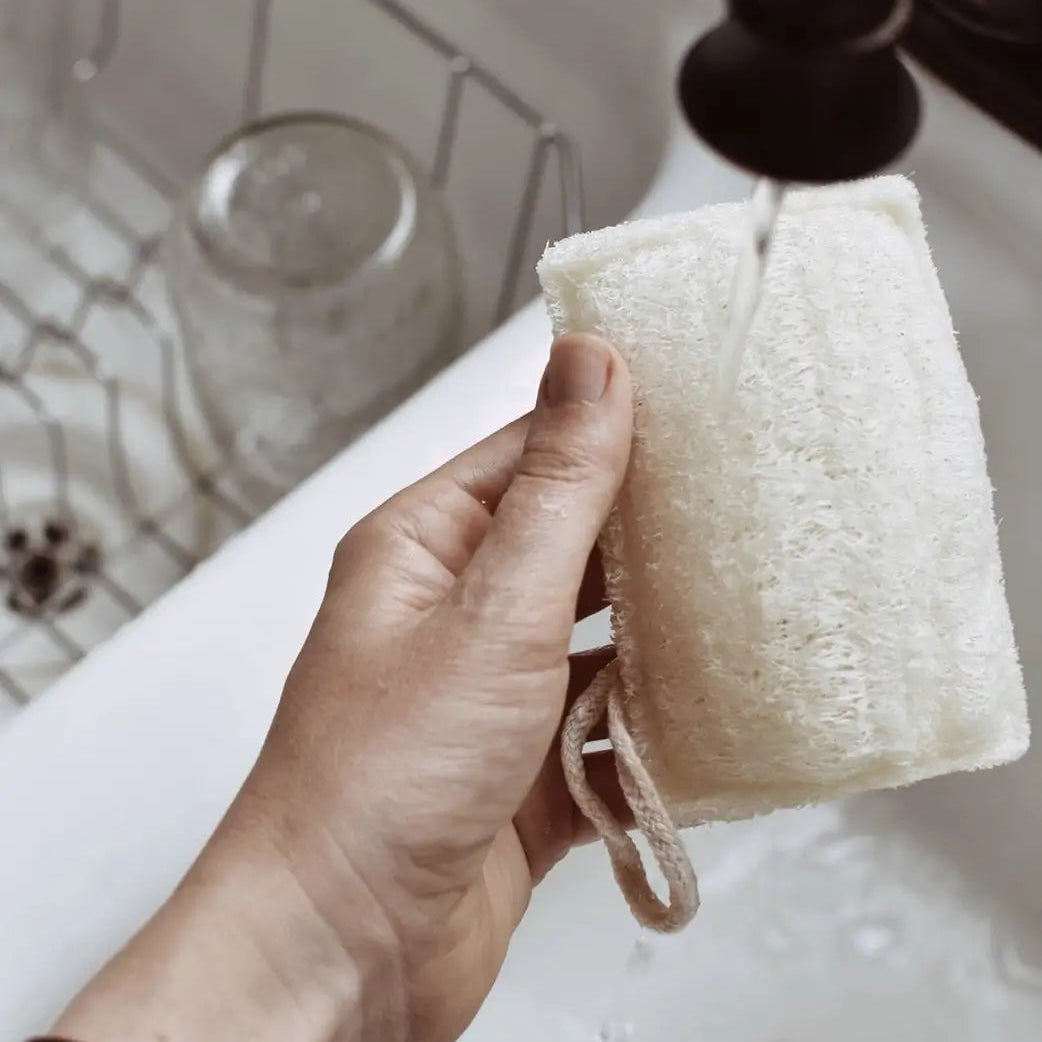 Loofah Kitchen Sponge