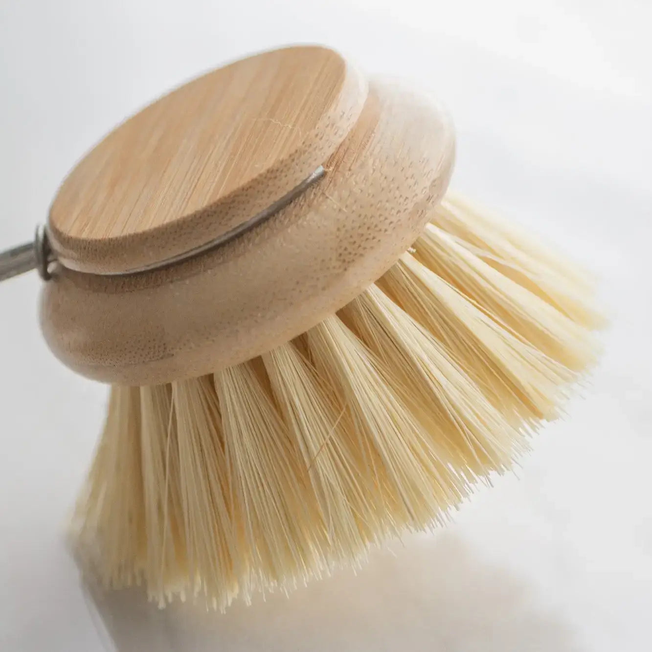 Round Replacement Head for Swedish Everyday Dish Brush - Stiff Tampico  Bristles - The Foundry Home Goods