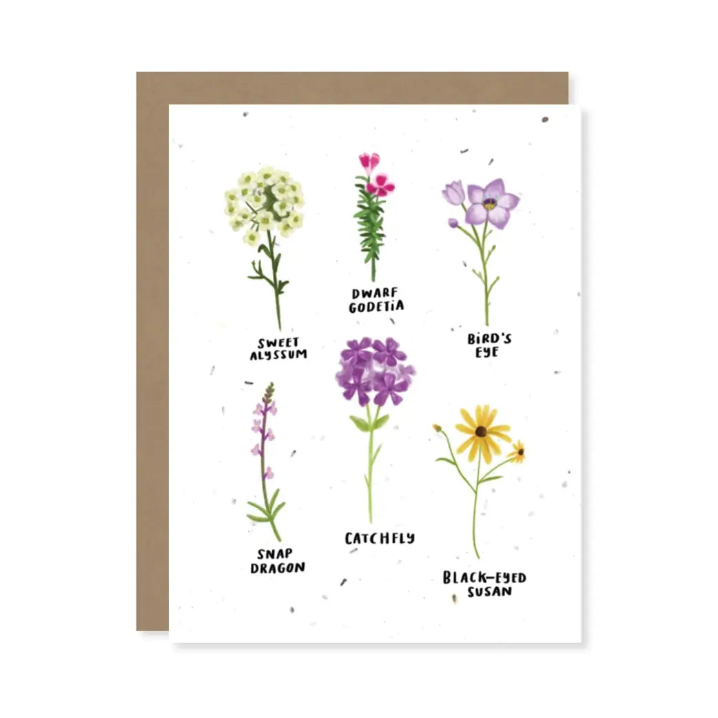 Seed Card