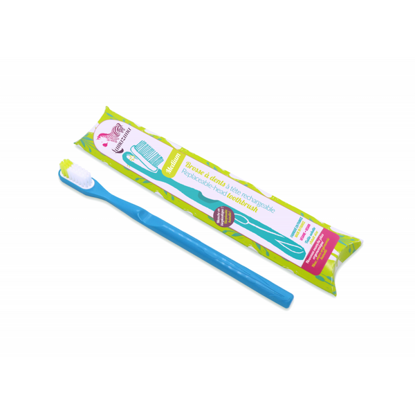 Toothbrush with replaceable-head - Ekologicall