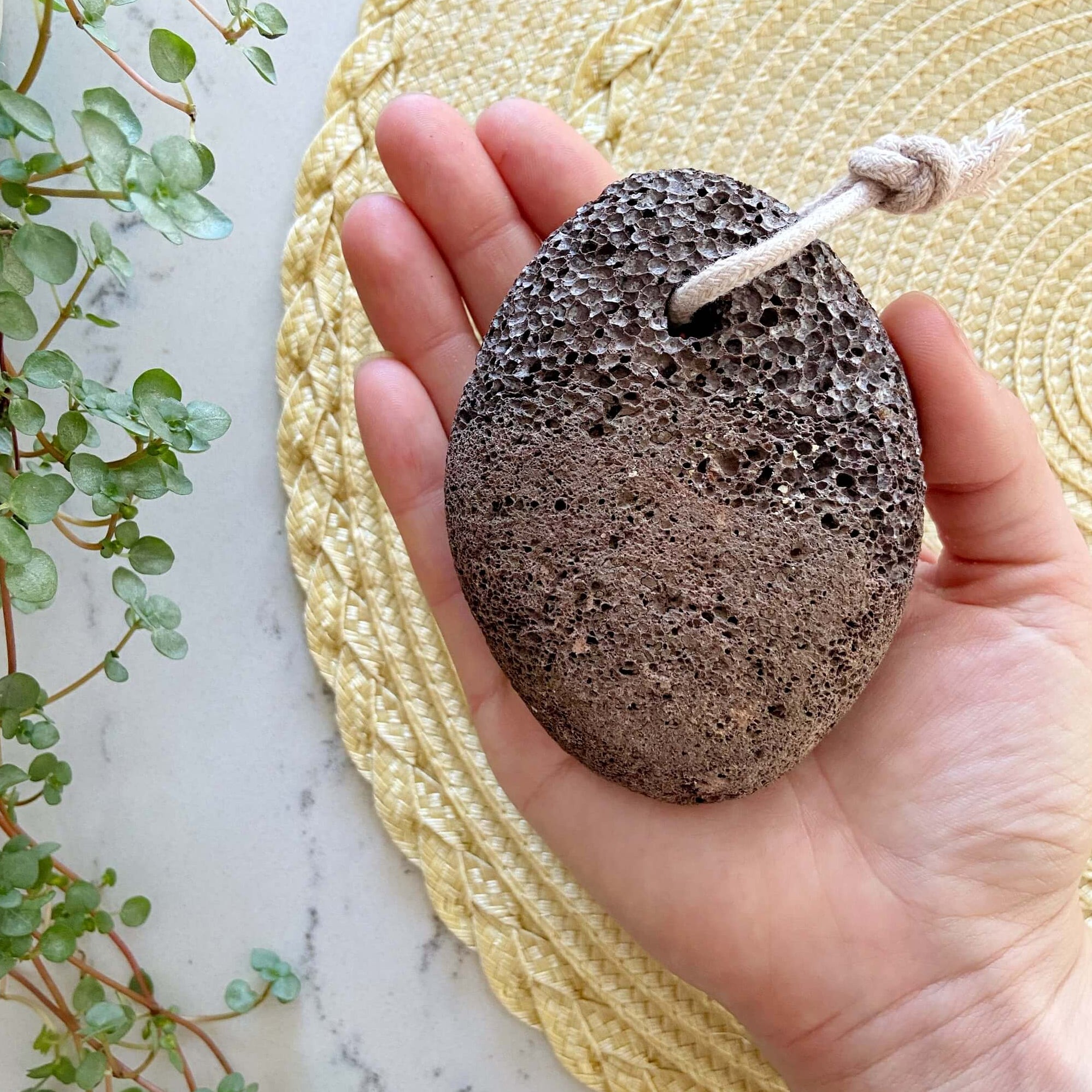 Pumice Stone