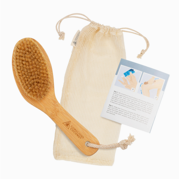 Dry Brush w/Hand Loop - Saratoga Botanicals, LLC